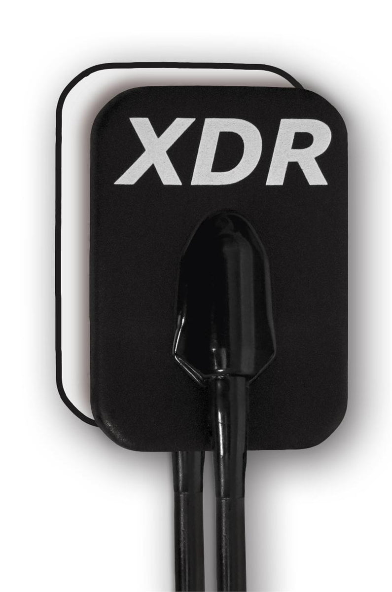 XDR Digital Sensor Archer Dental