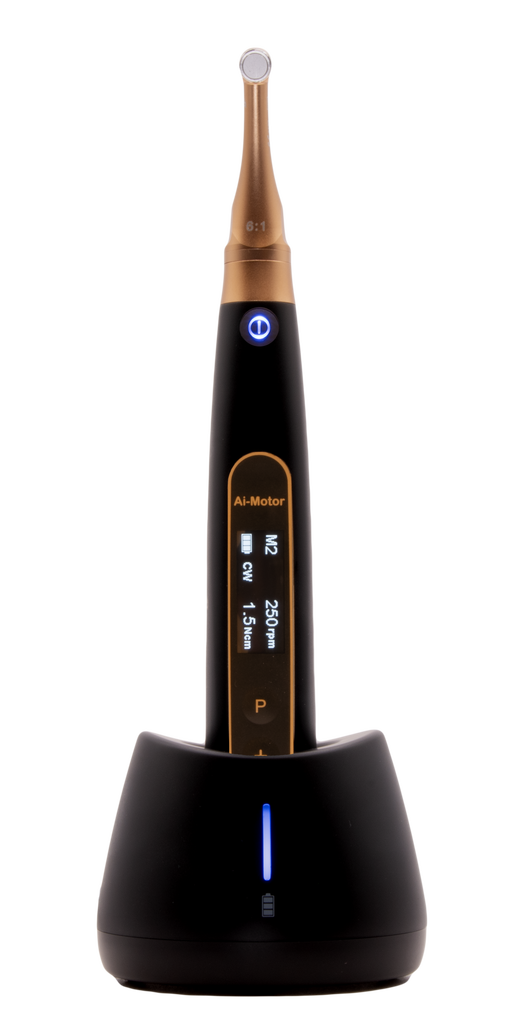 Woodpecker Yoshi Ai Endo Motor