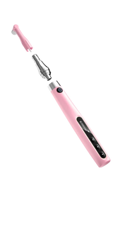 Woodpecker Prophy Mini