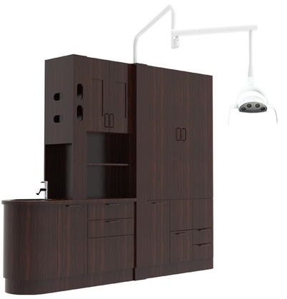 ADS Cabinet Mount Whale LED Dental Light