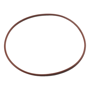 DCI 2109 MDT Door Seal, Chemiclave E, 4000, 5000, Aquaclave 10