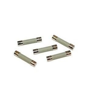 DCI 8824 Fuse, Time Delay, Glass, 1 Amp, 250 Volt; Pkg of 5