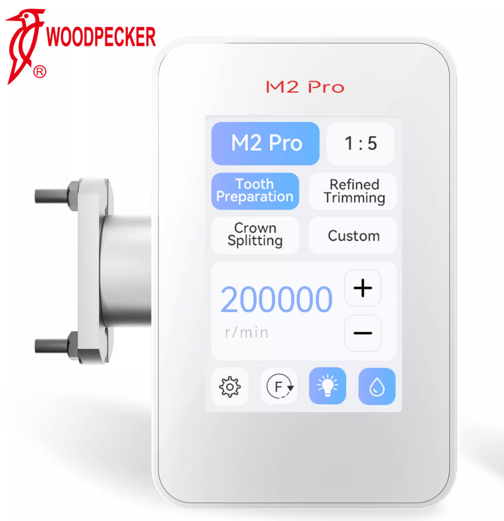 M2 Pro Electric Motor by Woodpecker