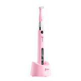 Woodpecker Prophy Mini