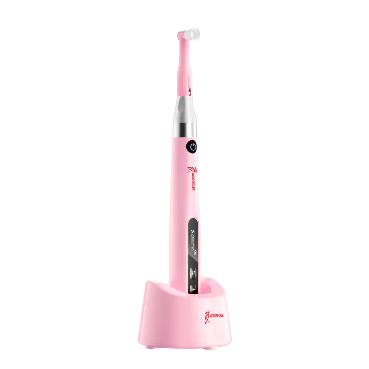 Woodpecker Prophy Mini