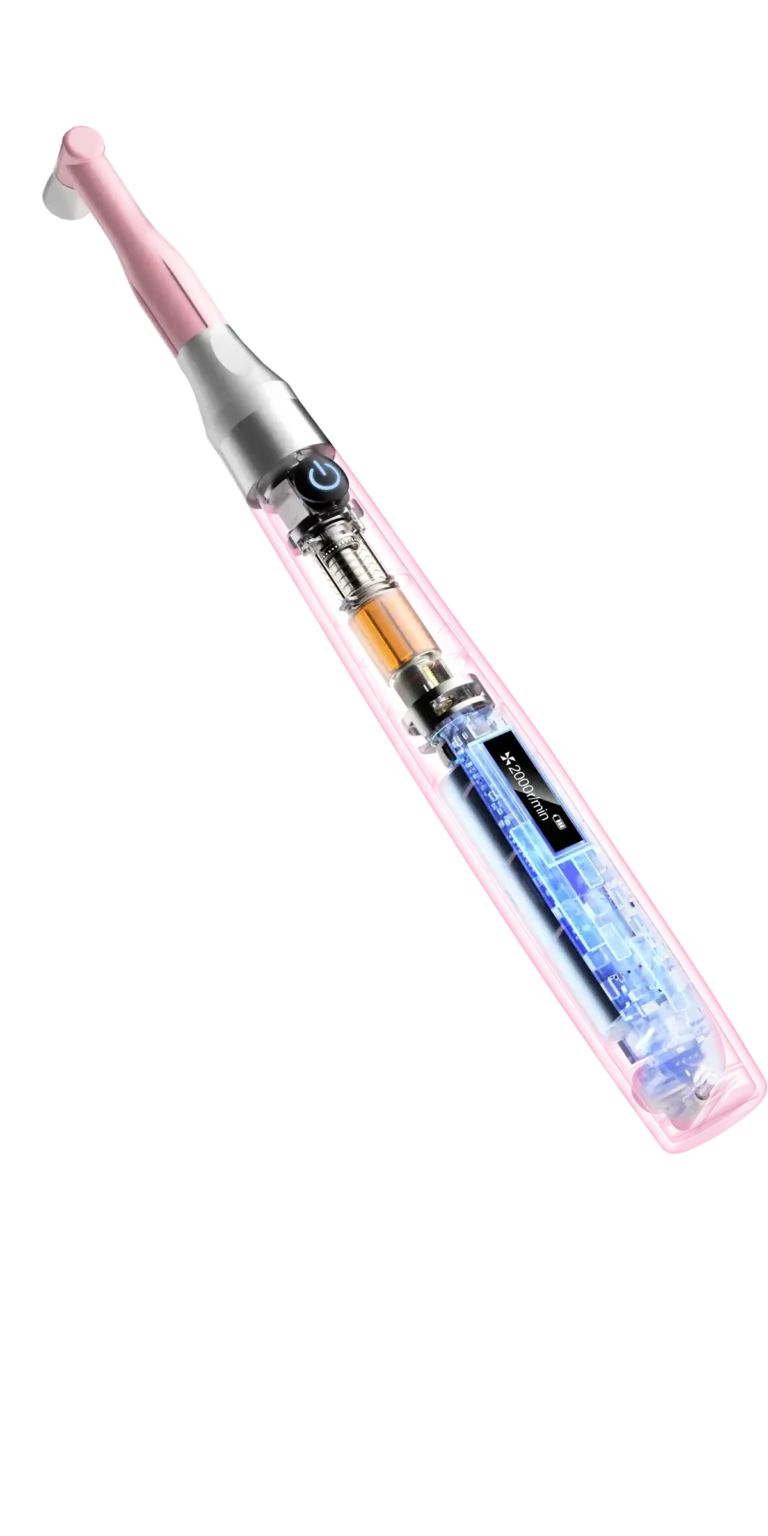 Woodpecker Prophy Mini
